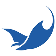 Foilbuzios logo
