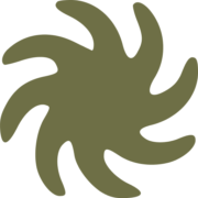 Bio Surf Camp logo