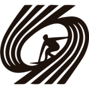 Groseko Indarra Surf Eskola logo