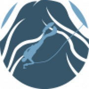 Dive Paraty logo