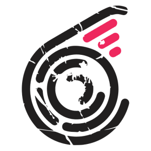 C2SKY Kite & Wing Center logo
