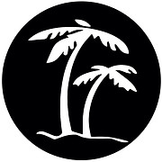 Buena Vista Kiteboarding logo