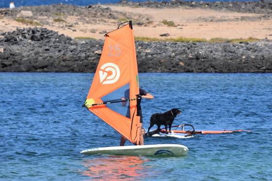 Gecko Windsurf School, photo 5