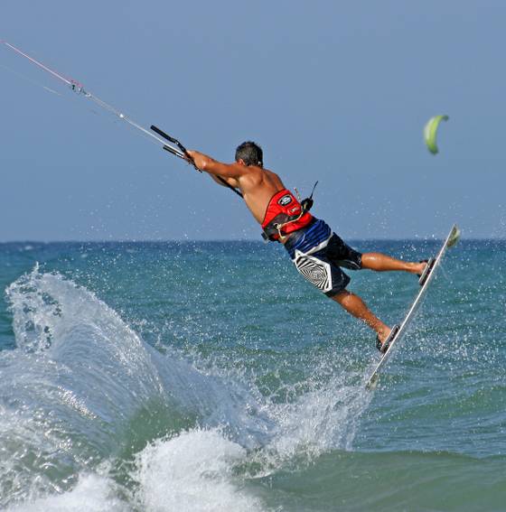 Oliva Surf, photo 4
