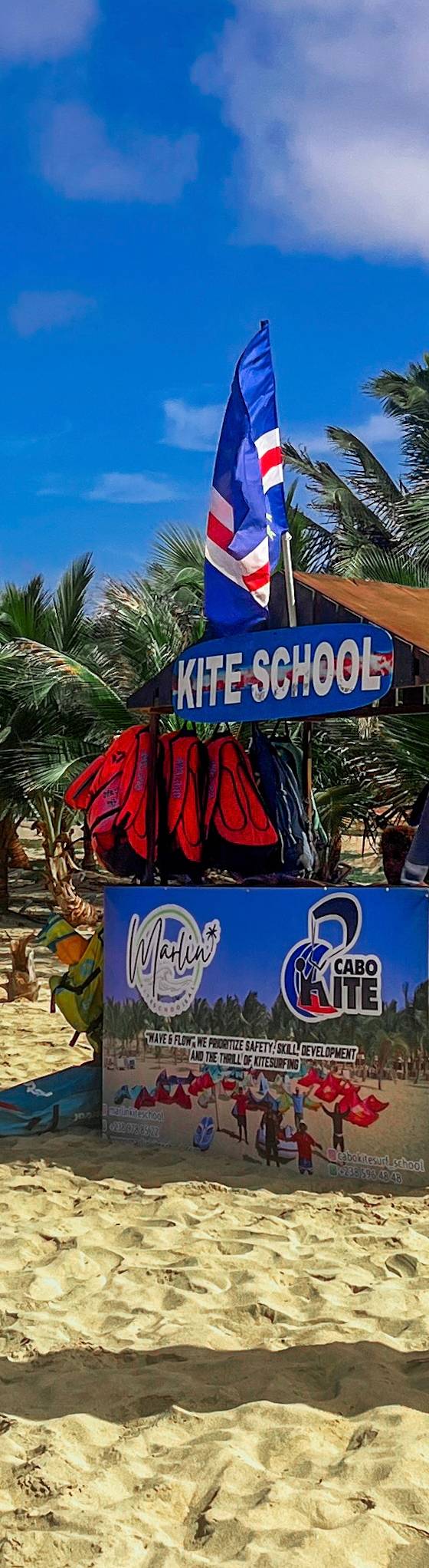Marlin Kite School — photo 3