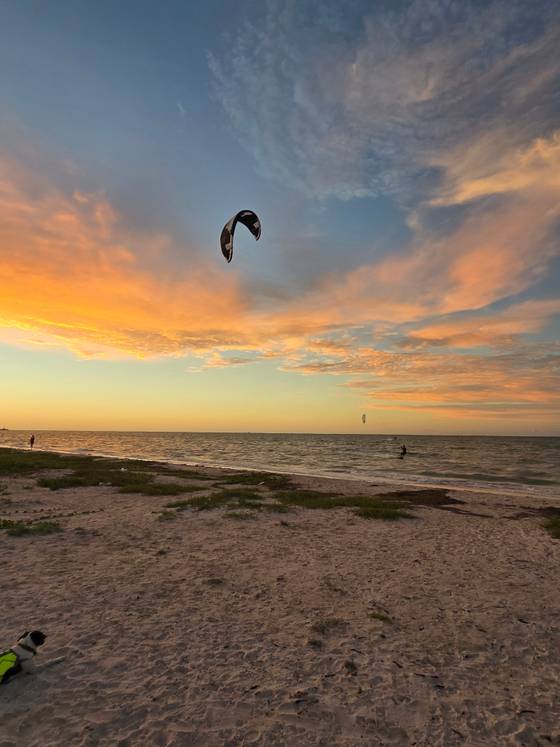 Progreso Kite Center, photo 5