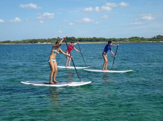 Pura Vida Mallorca, photo 4